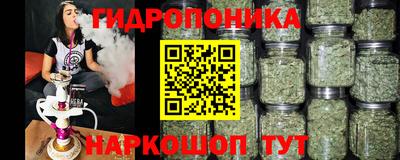 PSILOCYBIN Нягань