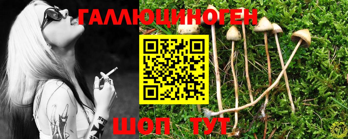 A-PVP Протвино