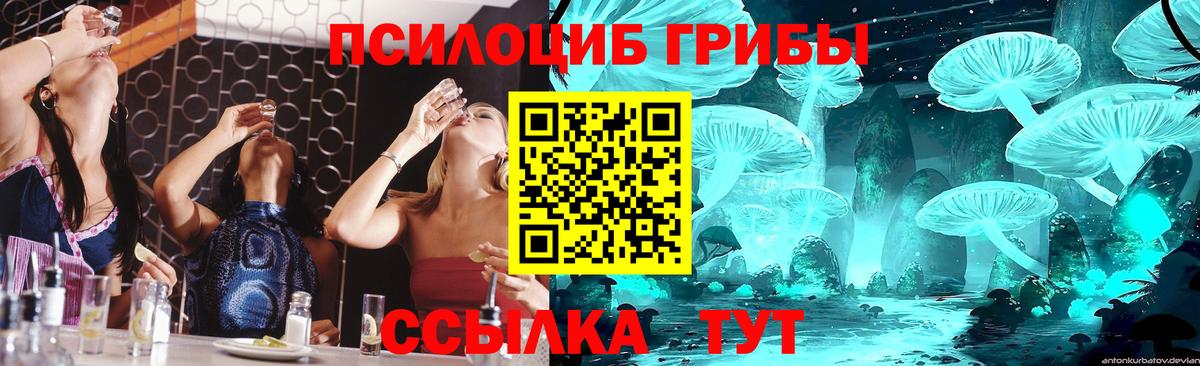 Псилоцибиновые грибы Psilocybine cubensis  Вход с VPN  Протвино  Псилоцибиновые грибы прущие грибы 