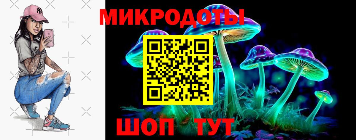 Галлюциногенные грибы мухоморы Протвино